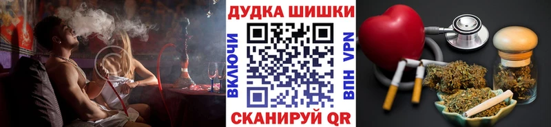 Где можно купить наркотики Новосиль Альфа ПВП  МЕТАДОН  Канабис  КОКАИН  Меф мяу мяу  Псилоцибиновые грибы 